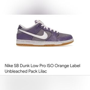 Nike SB Dunk Low Pro